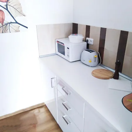 Tulip *
